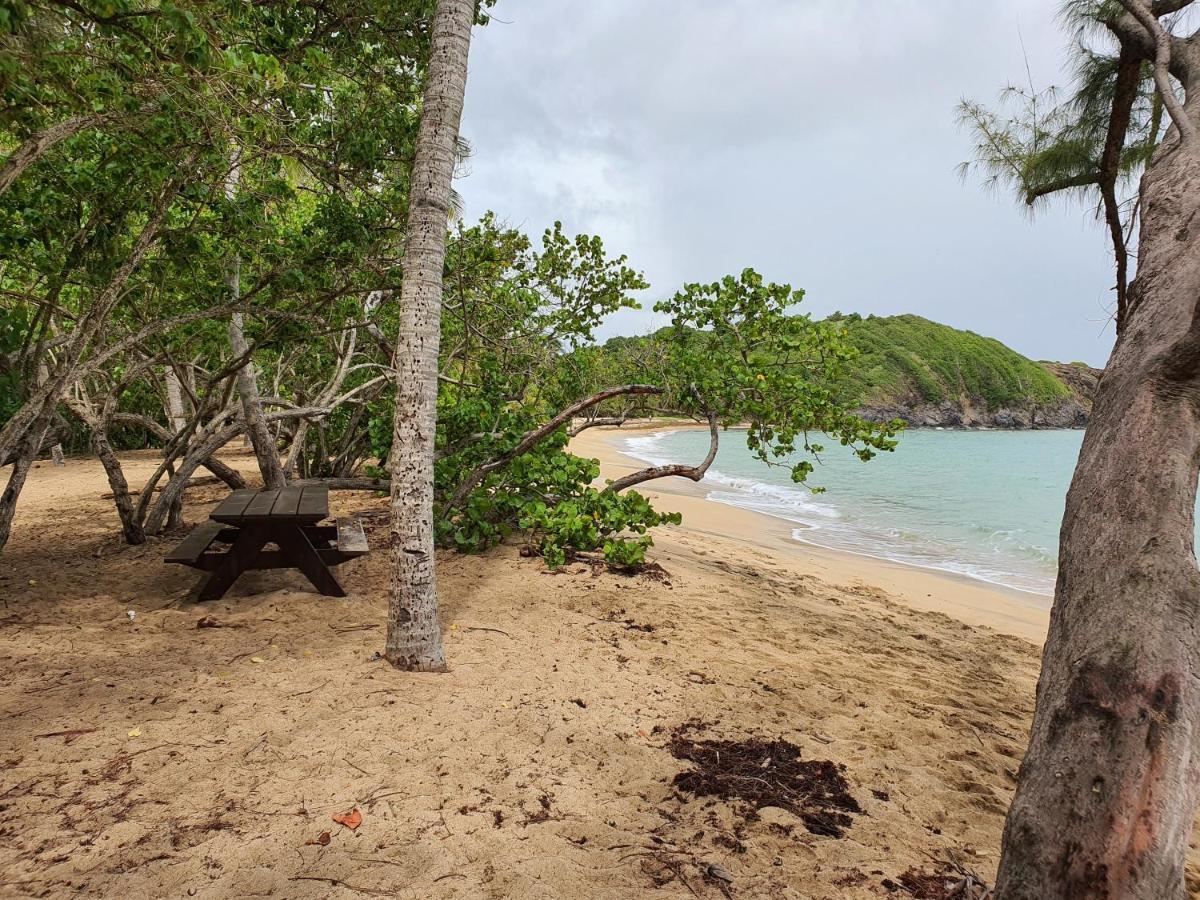 Vacance Au Soleil ! Studio Abricot 310 La Trinité Eksteriør bilde