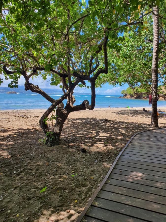 Vacance Au Soleil ! Studio Abricot 310 La Trinité Eksteriør bilde